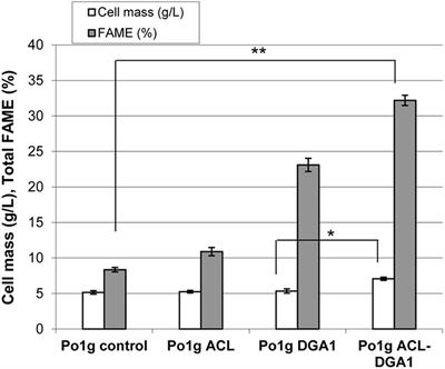 Disruption of the Snf1 Gene Enhances Cell Growth and Reduces the Metabolic Burden in Cellulase-Expressing and Lipid-Accumulating Yarrowia lipolytica